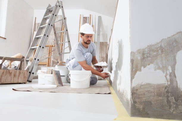 Best Drywall Texturing  in Buchanan, GA